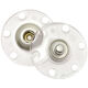 Union Knopf Druckknopf 25mm | 10-Transparent