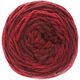 Lana Grossa ALTA MODA CASHMERE 16 SFUMATO | 204-Dunkelrot meliert