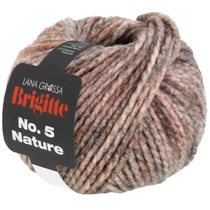 BRIGITTE NO. 5 Nature - von Lana Grossa | 104-Braun/Beige meliert