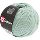 Lana Grossa 365 CASHMERE | 13-Mint