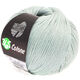 Lana Grossa 365 COTONE | 04-Mint