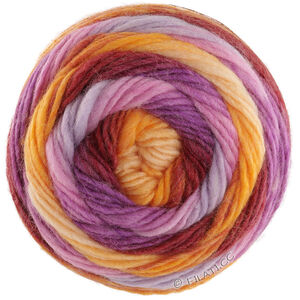 COLORATO Aktion - von Lana Grossa | 06-Orange/Burgund/Violett/Rosa/Blaulila/Gelb