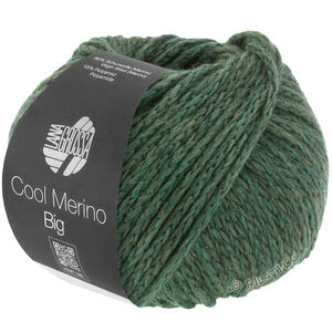 COOL MERINO Big - von Lana Grossa | 205-Moosgrün