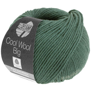 COOL WOOL Big  Uni/Melange - von Lana Grossa | 1004-Moosgrün