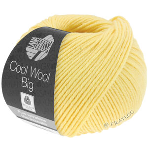 COOL WOOL Big  Uni/Melange - von Lana Grossa | 1007-Vanille