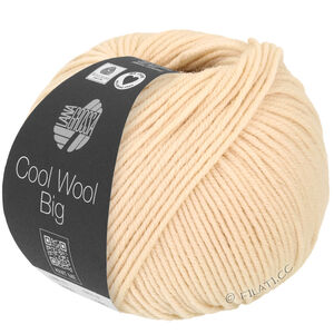 COOL WOOL Big  Uni/Melange - von Lana Grossa | 1016-Muschel