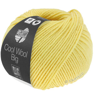 COOL WOOL Big  Uni/Melange - von Lana Grossa | 1028-Grüngelb