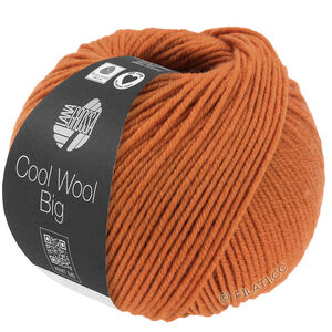 COOL WOOL Big  Uni/Melange - von Lana Grossa | 1036-Orangebraun