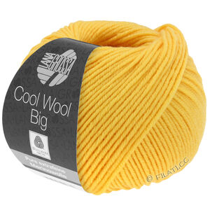 COOL WOOL Big  Uni/Melange - von Lana Grossa | 0958-Gelb