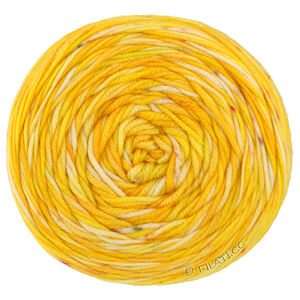 COOL WOOL  Hand-dyed - von Lana Grossa | 07-