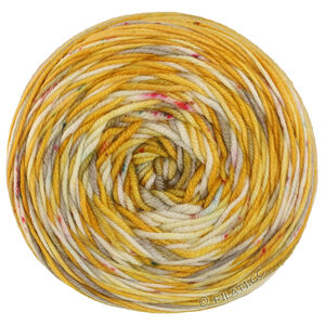 COOL WOOL  Hand-dyed - von Lana Grossa | 13-