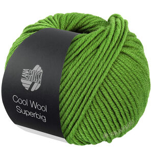COOL WOOL Superbig - von Lana Grossa | 25-Maigrün