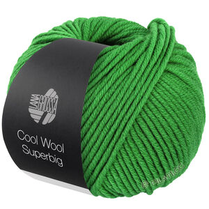 COOL WOOL Superbig - von Lana Grossa | 26-Grün