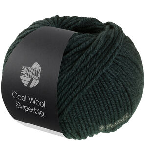COOL WOOL Superbig - von Lana Grossa | 29-Lodengrün