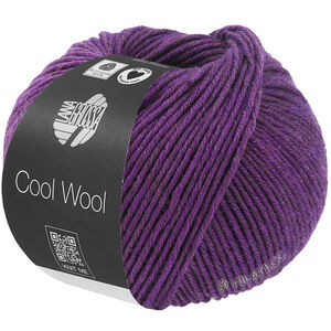 COOL WOOL Mélange (We Care) - von Lana Grossa | 1499-Violett meliert