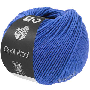 COOL WOOL Mélange (We Care) - von Lana Grossa | 1503-Blau meliert