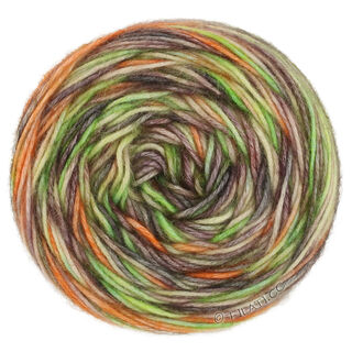 ECOPUNO Hand-dyed von Lana Grossa