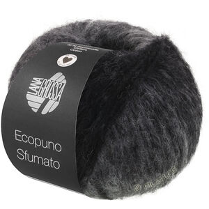 ECOPUNO Sfumato - von Lana Grossa | 704-Schwarz/Grau
