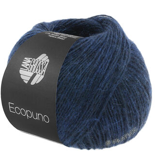 ECOPUNO von Lana Grossa