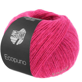 ECOPUNO von Lana Grossa