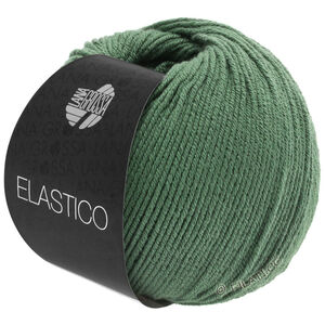 ELASTICO - von Lana Grossa | 141-Resedagrün