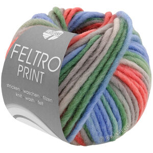 FELTRO Print - von Lana Grossa | 1309-Pastellgrün/Hellgrau/Himmelblau/Rot