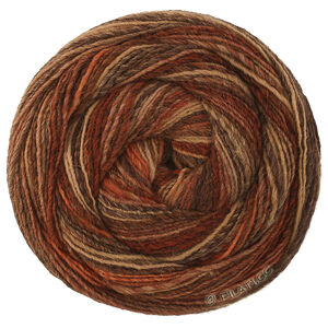 GOMITOLO DISEGNO - von Lana Grossa | 525-Burgund/Beige/Rost/Taupe/Dunkelbraun/Graubraun/Schwarzbraun