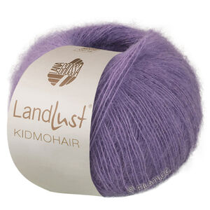 LANDLUST KIDMOHAIR - von Lana Grossa | 13-Graulila