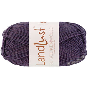 LANDLUST DIE SOCKENWOLLE 50g Mélange - von Lana Grossa | 1601-Dunkelviolett meliert