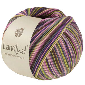 LANDLUST DIE SOCKENWOLLE SEIDE PRINT - von Lana Grossa | 361-