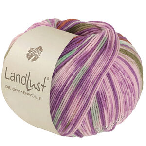 LANDLUST DIE SOCKENWOLLE - von Lana Grossa | 611-Orchidee/Braun/Maigrün/Ecru/Rosé/Oliv gestreift