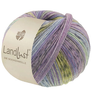 LANDLUST DIE SOCKENWOLLE - von Lana Grossa | 618-Veilchenblau/Jeans/Hellblau/Hellgrau/Dunkelgrau/Jade/Pistazie/Flieder gestreift