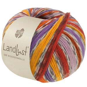 LANDLUST DIE SOCKENWOLLE - von Lana Grossa | 824-