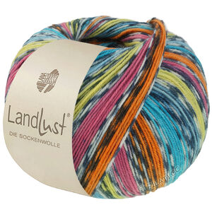 LANDLUST DIE SOCKENWOLLE - von Lana Grossa | 825-