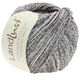 Lana Grossa LANDLUST SOMMERSEIDE Mélange | 114-Graubraun/Graubeige meliert