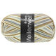 Lana Grossa MEILENWEIT 6-FACH 150g Fun | 9568-Silber/Nougat/Grau/Schokobraun/Dunkelgrau
