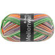Lana Grossa MEILENWEIT 6-FACH 150g Asia | 9651-