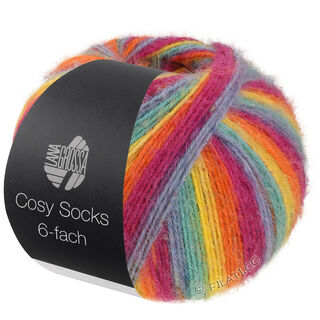 MEILENWEIT 6-FACH 150g Cosy Socks Multi Stripes von Lana Grossa
