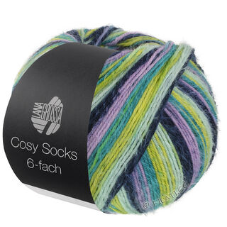 MEILENWEIT 6-FACH 150g Cosy Socks Multi Stripes von Lana Grossa