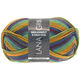 Lana Grossa MEILENWEIT 8-FACH 100g Print | 9859-