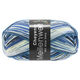 Lana Grossa MEILENWEIT 100g Cheyenne | 4261-