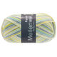 Lana Grossa MEILENWEIT 100g Fondo | 7880-