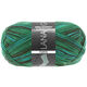 Lana Grossa MEILENWEIT 100g Forte | 1558-