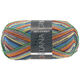 Lana Grossa MEILENWEIT 100g Glamy | 2710-