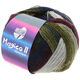Lana Grossa MEILENWEIT 100g Magico II | 3530-
