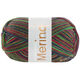 Lana Grossa MEILENWEIT 100g Merino Extrafine Cosy | 6164-