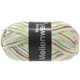 Lana Grossa MEILENWEIT 100g Neve | 2751-