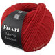 FILATI MERINO MISCELA | 12-Rot