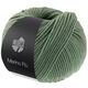 Lana Grossa MERINO PIÙ | 04-Oleandergrün