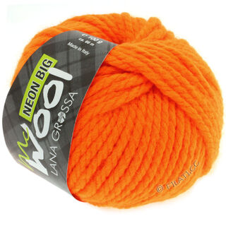 Lana Grossa NEON Big (McWool)
